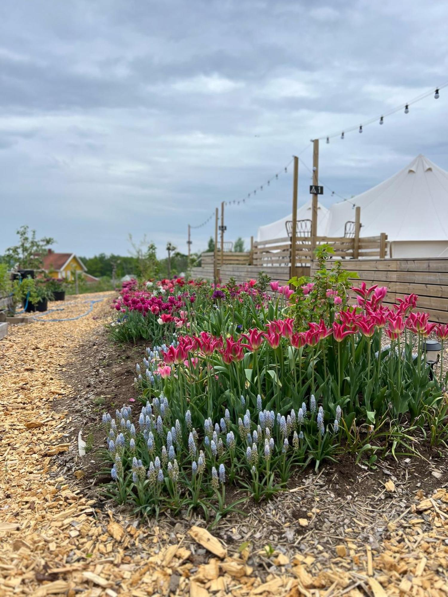 Vaettervy Glamping Habo Exterior foto