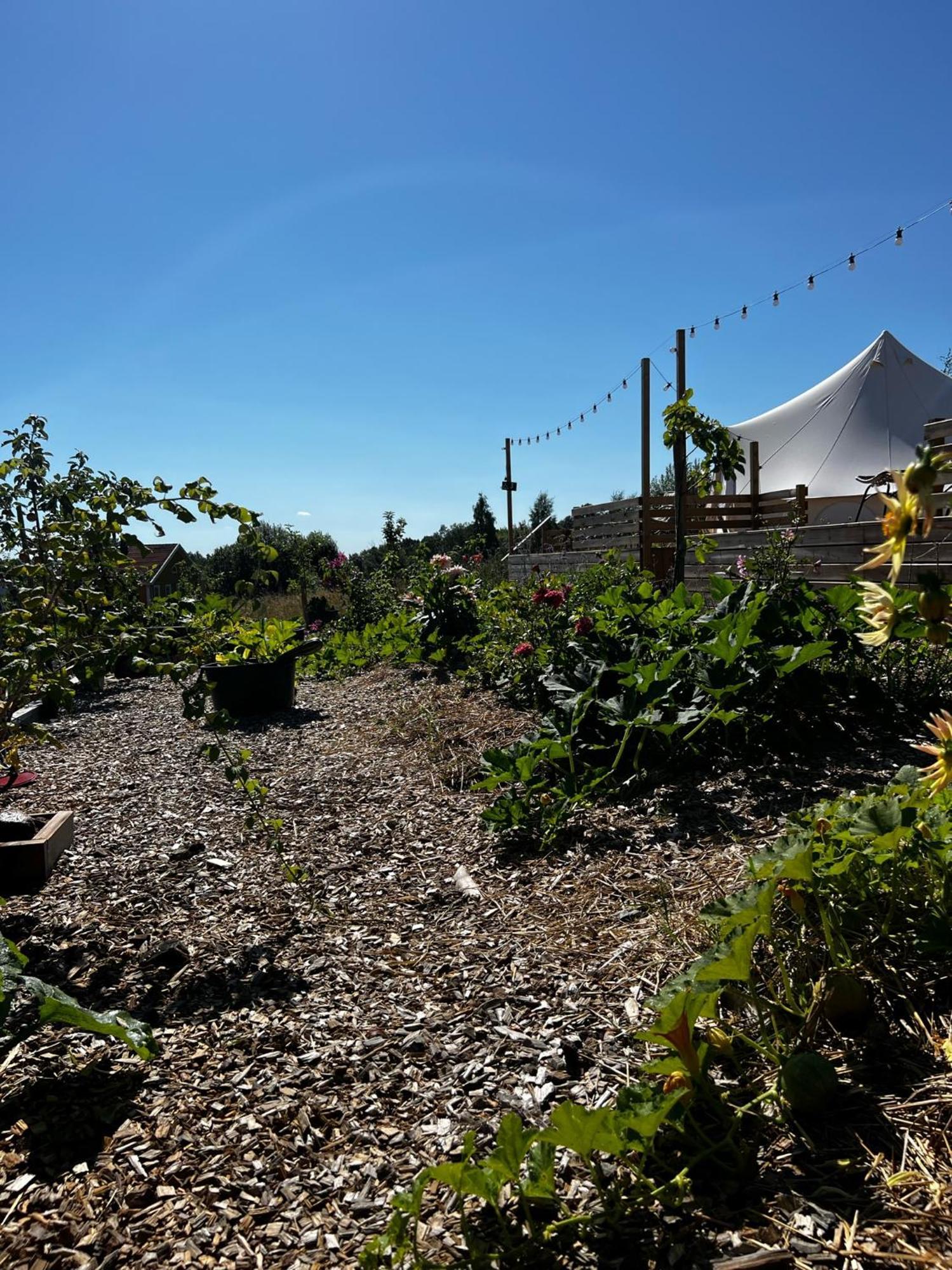 Vaettervy Glamping Habo Exterior foto